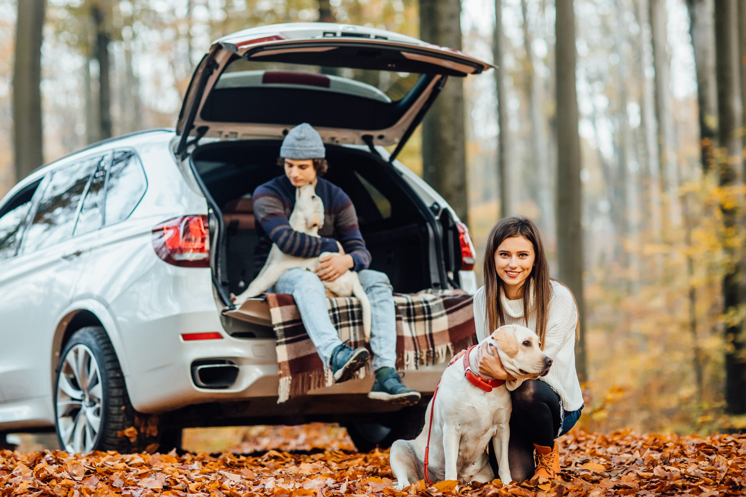 SUV familiares usados